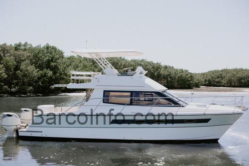Arrowcat 420 Flybridge ficha técnica y opiniones